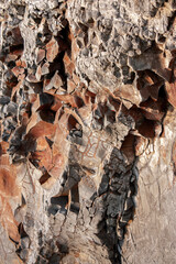 View of a part of a sedimentary rock. Yellow-brown abstract background. Texture of natural stone....