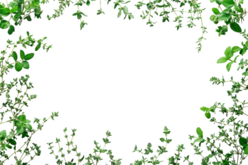 Fresh herbs create a vibrant border for crafting, cooking, or decorating in a kitchen setting