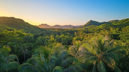 Lush tropical valley at sunset, aerial view of palm trees and mountains.