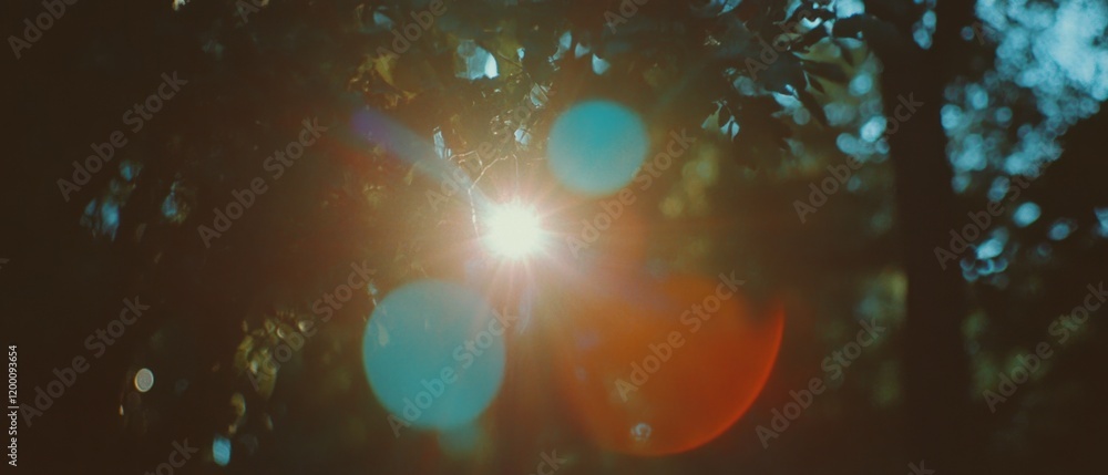 Poster captivating lens flare with vibrant colors shining through tree leaves in a vintage setting