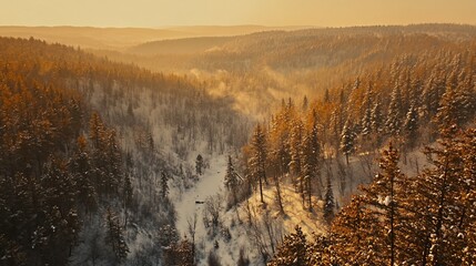 Golden hour sunlight bathes a snow-covered valley, revealing a winding river amidst dense pine forests.