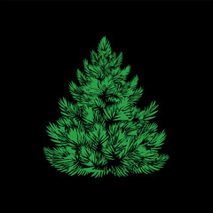 Christmas Fir Tree Vectors Design