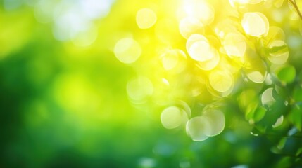 Obraz premium Sunlit Green Leaves, Nature's Glow