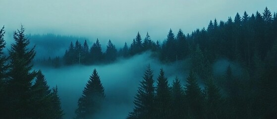 Mystical forest enveloped in fog creating an enchanting and mysterious atmosphere at dawn