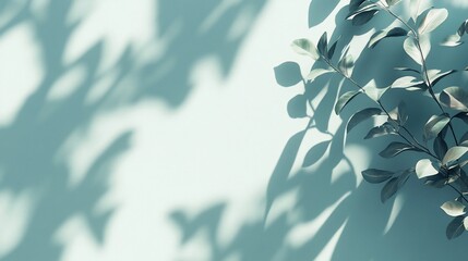 Shadowy leaves on a teal background.