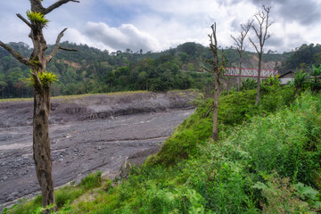 A captivating scene shows vibrant green vegetation by a winding gravel lava path from Semeru volcano, under a dynamic cloudy sky, inviting exploration in picturesque environment, East Java, Indonesia