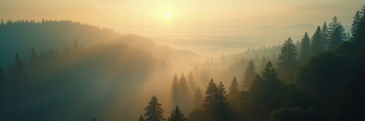 Obraz premium A serene sunrise over misty hills and lush forests, creating a tranquil and inspiring atmosphere perfect for nature-themed projects and relaxation.