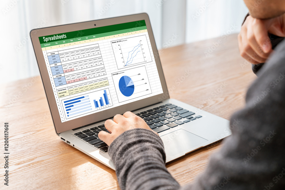 Poster spreadsheet document information financial startup concept. data and graphs in spreadsheet documents