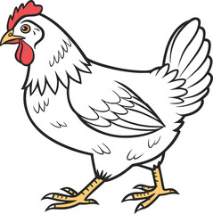 A Chicken vector art illustration