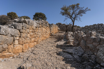 Ancient site of lato near Kritsa © roostler