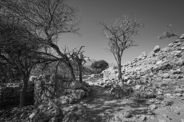 Ancient site of lato near Kritsa © roostler