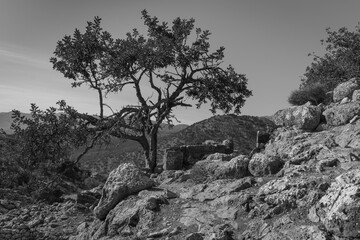 Ancient site of lato near Kritsa © roostler