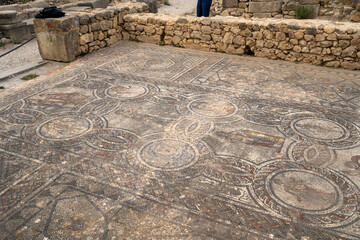 Floor mosaic, Volubilis, Berber-Roman city in Morocco
