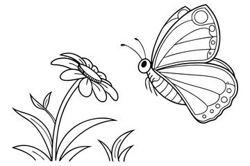 Butterfly line drawing
