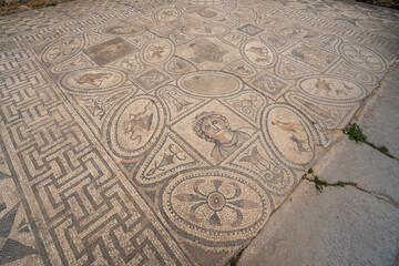 Floor mosaic, Volubilis, Berber-Roman city in Morocco