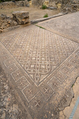 Floor mosaic, Volubilis, Berber-Roman city in Morocco