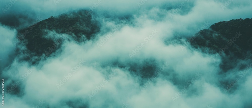 Poster Fog envelops rolling hills under soft diffused light, creating an ethereal atmosphere of serenity