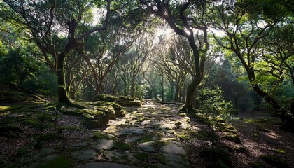 Obraz premium a paranormal wooded area with overgrown trees and daylight filtering thru the branches on a stone course