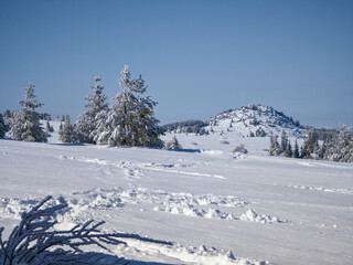 Obraz premium Winter Landscape of Vitosha Mountain, Bulgaria