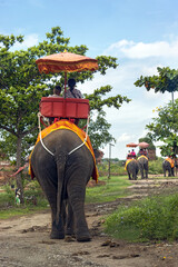 Tourists ride an elephant in the historic part of Ayutthaya, Thailand