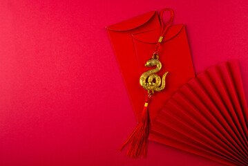Chinese new year concept. Lunar year of snake