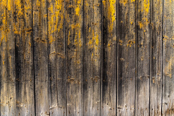 Fototapeta premium Peeling paint from old boards - background.