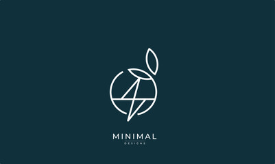 Minimal leaf circle with a lightning bolt logo, renewable energy logo