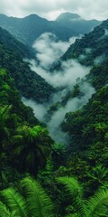 Lush green rainforest landscape shrouded in ethereal mist. Ideal for nature documentaries travel blogs or promoting eco-tourism.