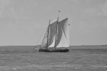 sailing in the sea