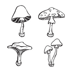 A set of vector mushrooms in the doodle style