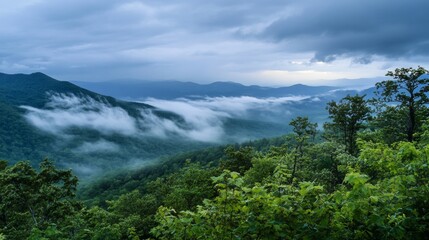 Obraz premium Misty Mountain Valley. Breathtaking Nature Escape