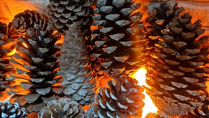 Pine cones illuminated by fire from the fireplace