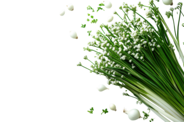 Fresh herbs arranged with white flowers on a clean white surface for culinary use