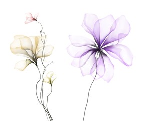 Flowers background illustration art watercolor print art