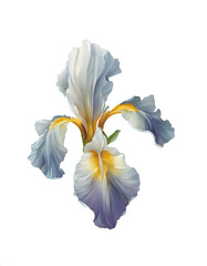 Iris Flower: Modern and Natural Art