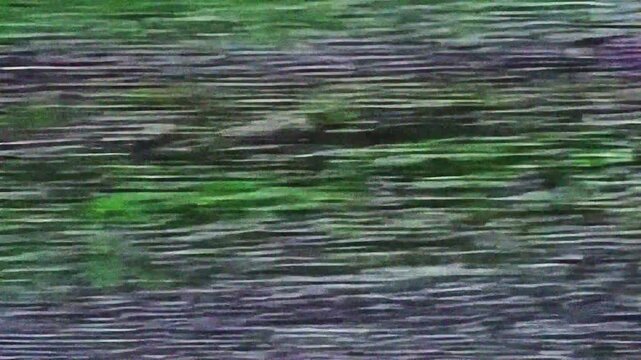 Vhs Static with tv glitch texture, VCR texture, retro overlay