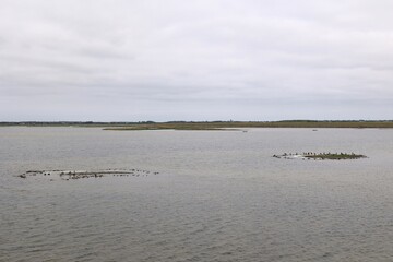 Impressionen vom Rantumer Becken auf der Nordfriesischen Nordseeinsel Sylt