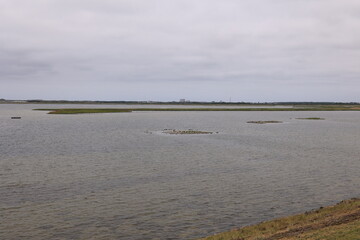 Impressionen vom Rantumer Becken auf der Nordfriesischen Nordseeinsel Sylt