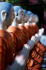 Thien Truc buddhist pagoda. Sangha. Monks prayer.  Bac Lieu. Vietnam. .