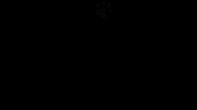 Animal paw prints. Cartoon comic funny paws along the path. Footprints walking cat 
