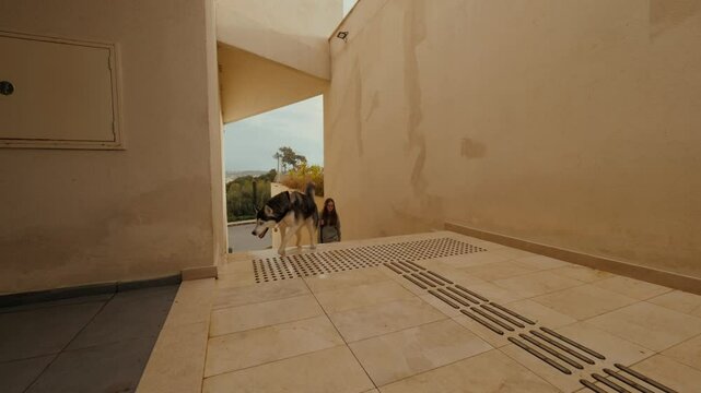Husky dog with beautiful young woman owner climbing on stone stairs outdoor architecture