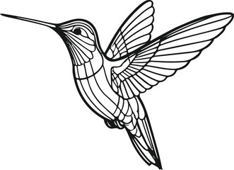 only line art in a bold line of a Humming Bird Continuous line art vector with no color background 5.eps