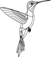 only line art in a bold line of a Humming Bird Continuous line art vector with no color background.eps