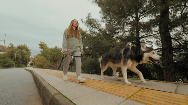 Modern relaxed woman walking with Husky dog enjoy outdoor sport activity at autumn park