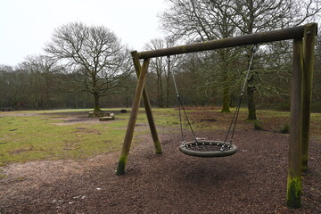 forest with a swing in the foreground taken at Abbotts wood, England