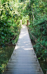 Wooden footbridge in nature tropical forest for trail route. Walking swing bridge, a suspension bridge across jungle, path way at the Khao Yai National Park, Thailand.Vertical.