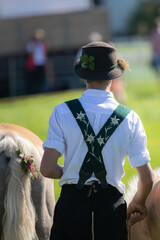 Hirtenjunge