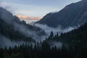 Nebel im Tal