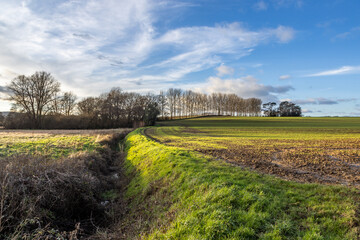 A ditch running between agricultural fields in rural Sussex, on a sunny winter's afternoon