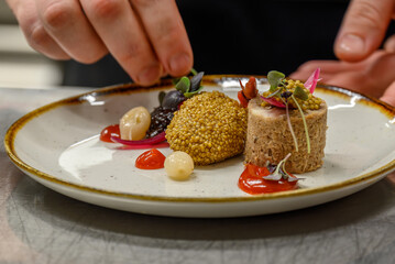 Chef Plating Gourmet Dish with Artistic Presentation
